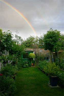 rainbowGarden2