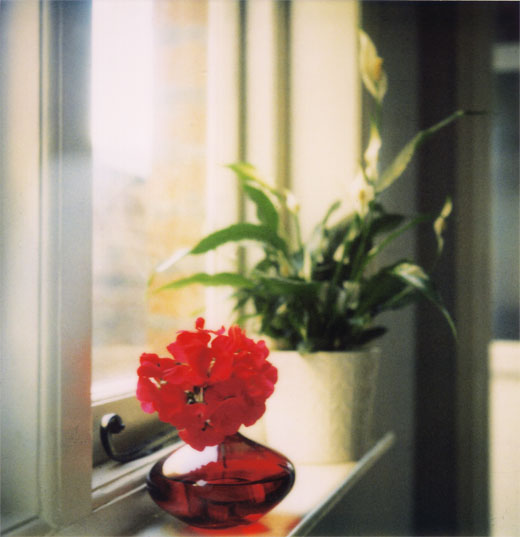 pola-window-sill