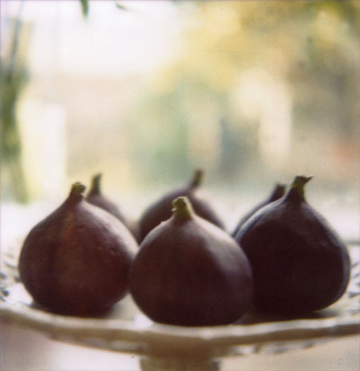 pola-figs