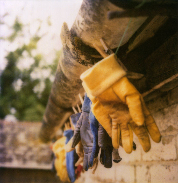polaroid gloves