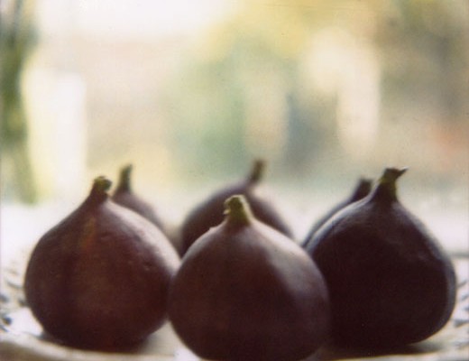 figs on polaroid