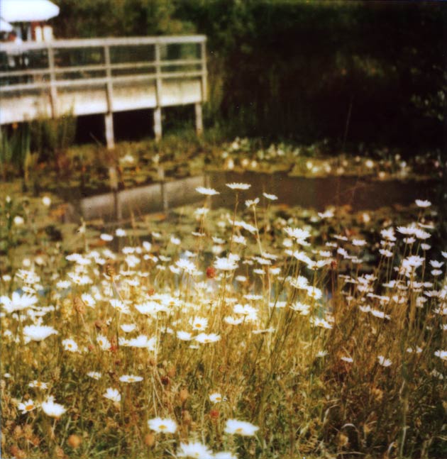 polaroid pond polaroid pond