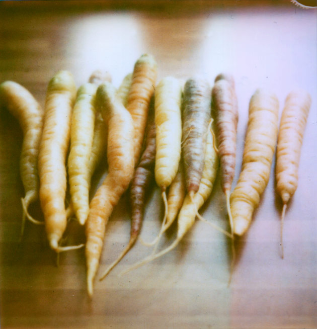 polaroid carrots