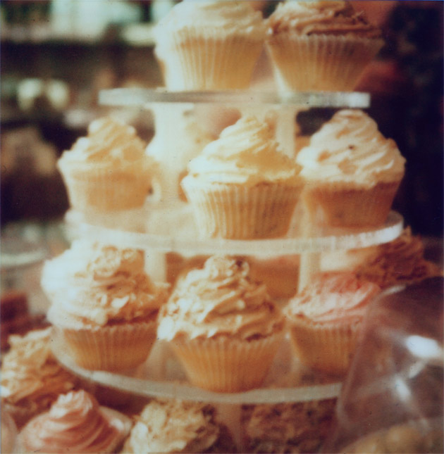 polaroid cupcakes