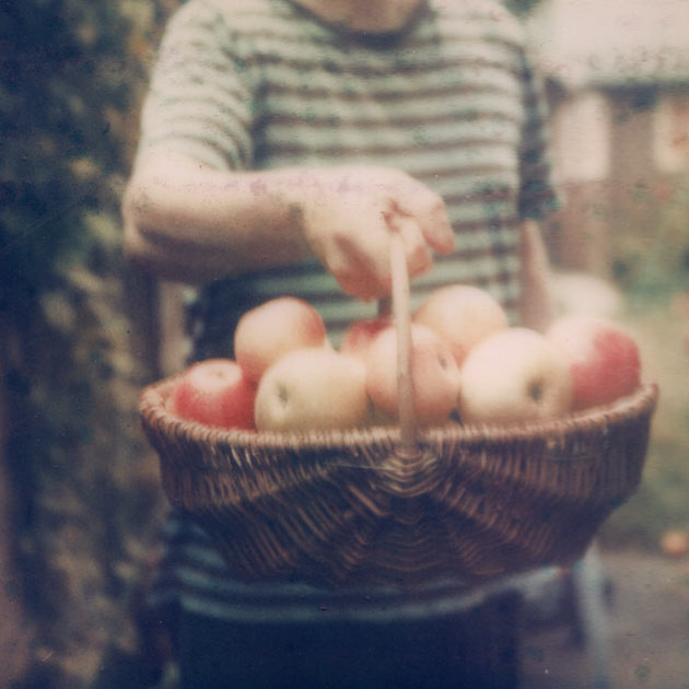 apple harvest - polaroid sx-70
