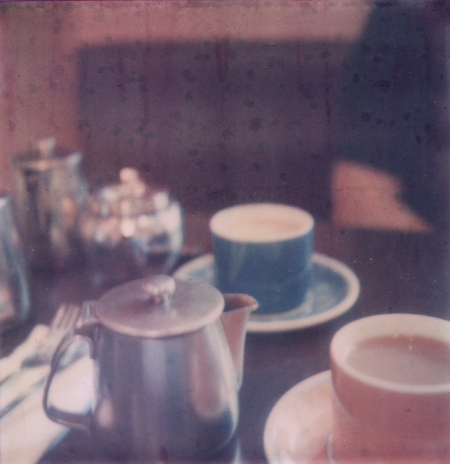 tea for two - polaroid