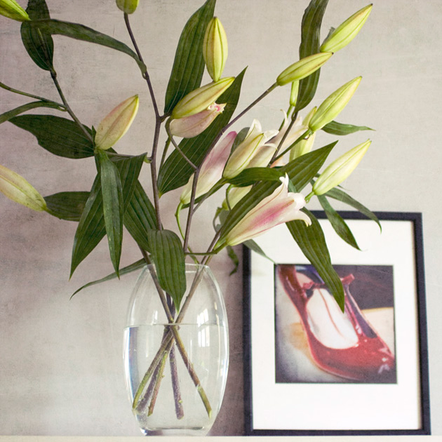 my red shoe print my red shoe print