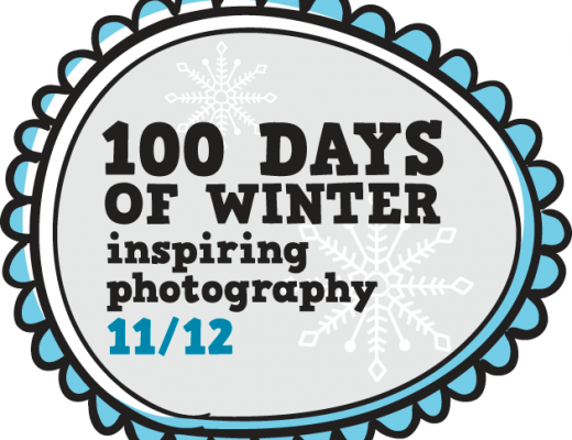 100 days of winter - panel