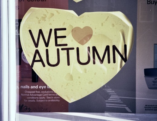 we love autumn - olympus xa2