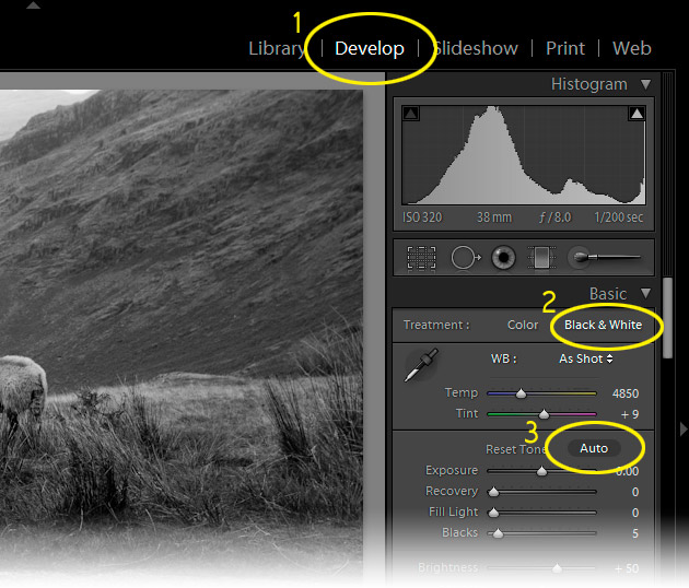 lightroom - how to convert to black and white