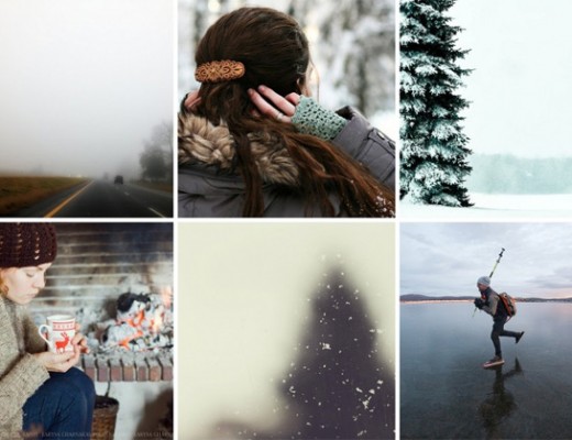 100 days of winter on flickr