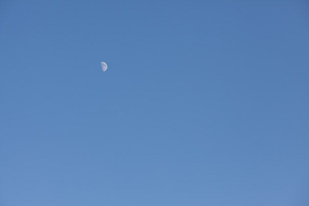daytime moon