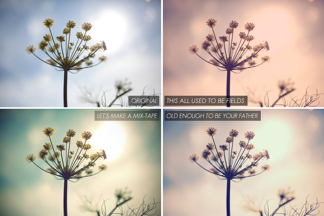 instagram style photoshop actions - dill