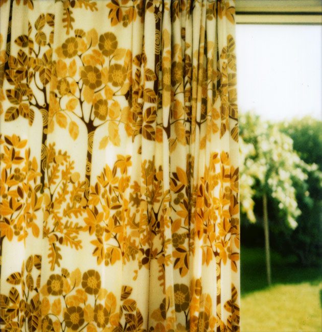 polaroid SX-70 - curtains