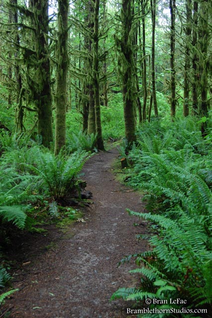 Deep Green Path by Bran LeFae