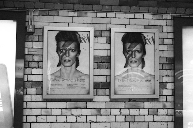 tunnel bowies