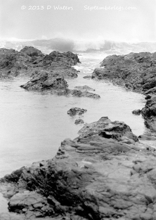 Lizard Peninsula, Cornwall, England 2005  Deborah Waters