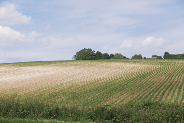 alton - hampshire - dry field