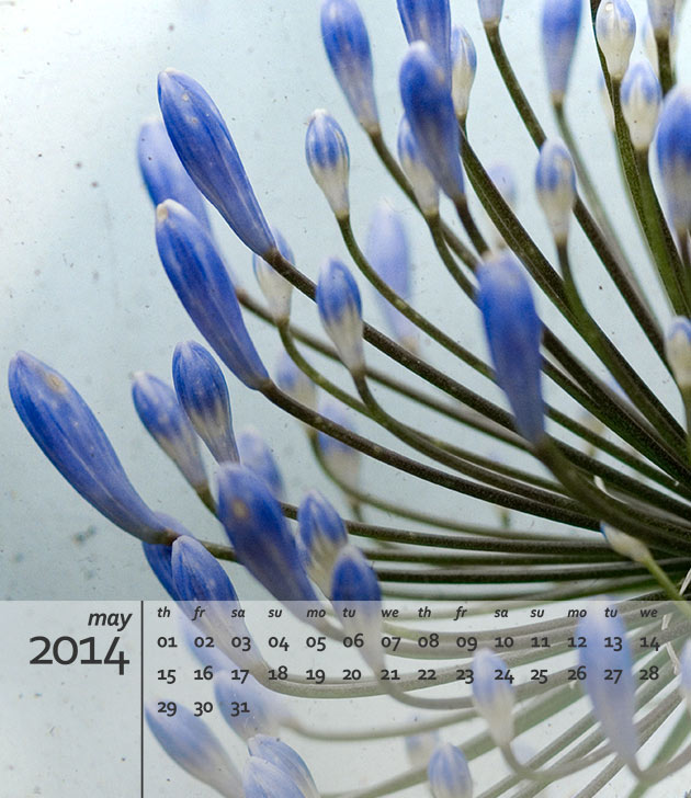 preview of free 2014 calendar