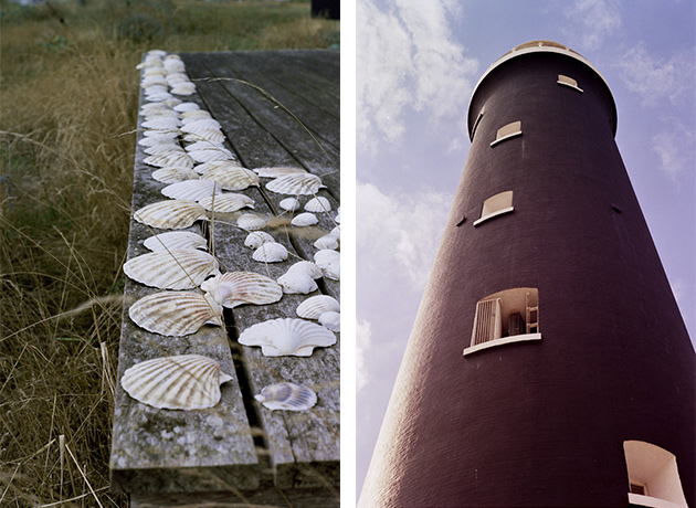 shells and lighthouse