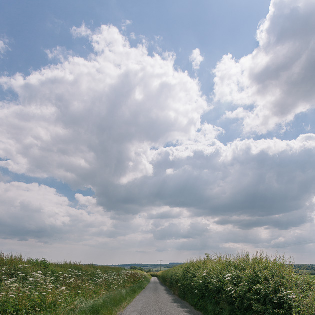 big skies and hedgerows