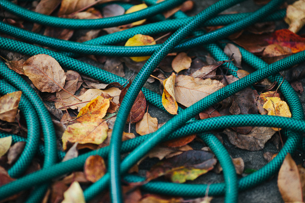 hose pipe and leaves