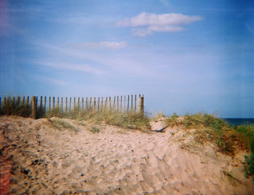 lomo-diana-dune