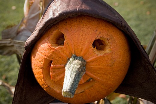 pumpkin-face